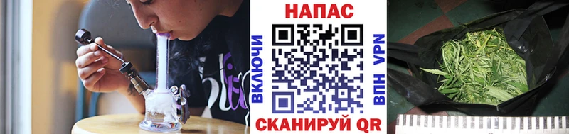 Бошки Шишки OG Kush  наркошоп  Бабушкин 